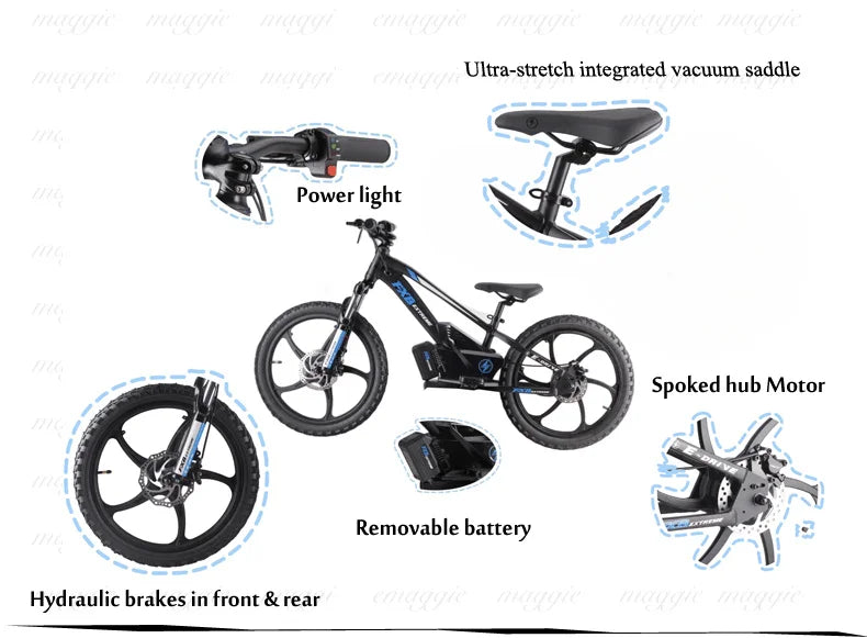 HKM-625107 20" Electric Balance Bike with 400W Hub Motor and 5.0AH Lithium Battery for Kids
