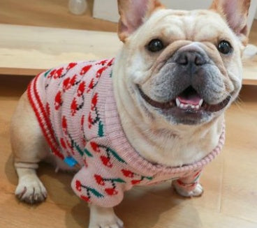HKM-6252349 Cozy Christmas Dog Sweater in Santa Claus Red and Pearl Milk Tea Colors