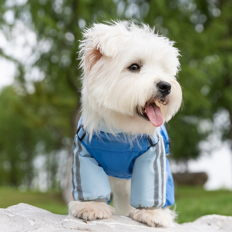 HKM-6252733 Reflective Waterproof Outdoor Jumpsuit for Small and Medium Dogs with Built-in Harness