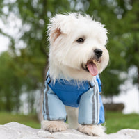 HKM-6252733 Reflective Waterproof Outdoor Jumpsuit for Small and Medium Dogs with Built-in Harness