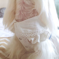HKM-6256317 Cute Cotton Little White Dress for Pets - Princess Style Skirt in XS to XL Sizes