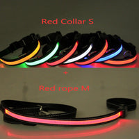 HKM-6267453 Fluorescent Adjustable Dog Collar with Solar and USB Charging ¨C Sizes S, M, L