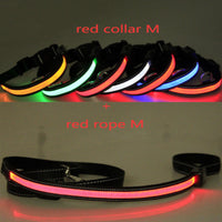 HKM-6267453 Fluorescent Adjustable Dog Collar with Solar and USB Charging ¨C Sizes S, M, L