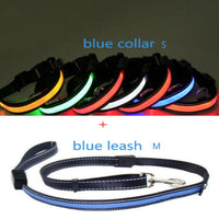 HKM-6267453 Fluorescent Adjustable Dog Collar with Solar and USB Charging ¨C Sizes S, M, L
