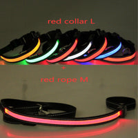 HKM-6267453 Fluorescent Adjustable Dog Collar with Solar and USB Charging ¨C Sizes S, M, L