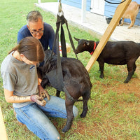 HKM-6272701 Large Dog Sling for Weighing Small Animals and Livestock – 35*150cm, 385g