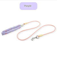 HKM-6275005 Durable Polyester Dog Leash in Pink, Green, Purple, and Raspberry Powder for Small to Large Dogs
