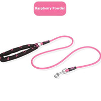 HKM-6275005 Durable Polyester Dog Leash in Pink, Green, Purple, and Raspberry Powder for Small to Large Dogs