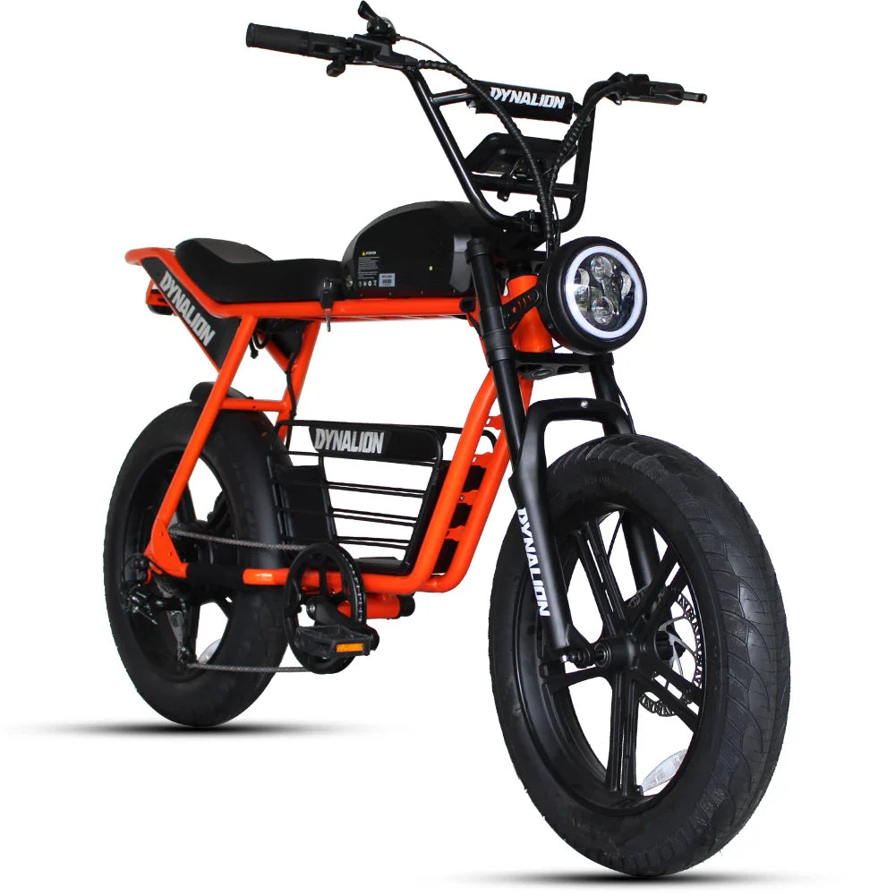 HKM-627923 20 Inch Electric Mountain Bike with 7-Speed Gears and 1000W Rear Hub Motor, 48V 16Ah Battery, and Disc Brakes