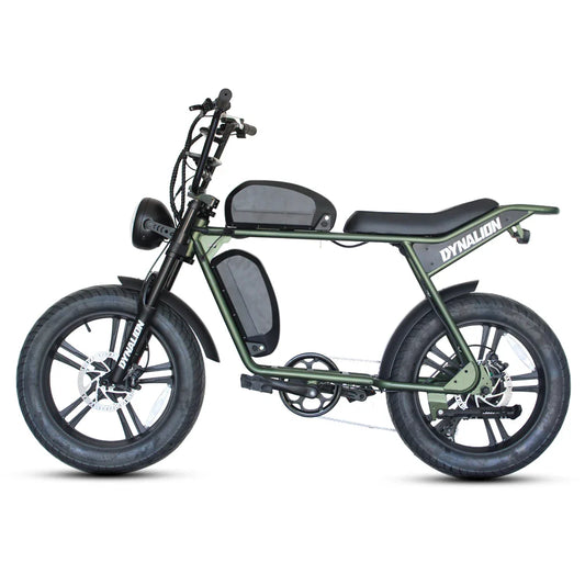HKM-627923 20 Inch Electric Mountain Bike with 7-Speed Gears and 1000W Rear Hub Motor, 48V 16Ah Battery, and Disc Brakes