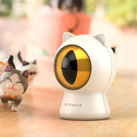 HKM-628755 Smart red light cat toy