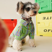 HKM-6290877 Fruit Green Casual Shirt for Small and Medium-sized Dogs and Cats