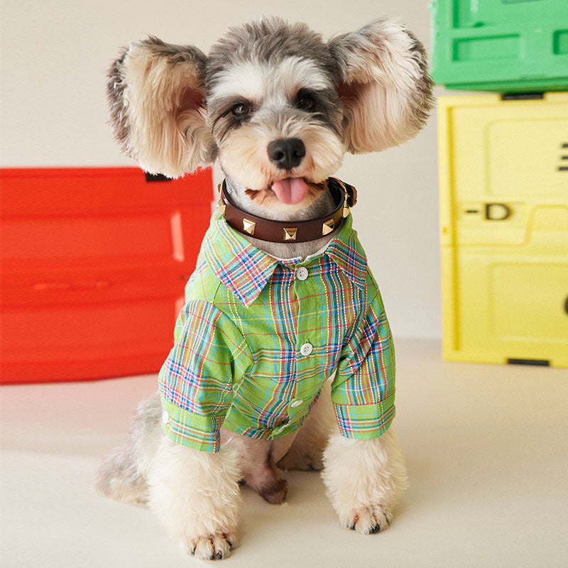 HKM-6290877 Fruit Green Casual Shirt for Small and Medium-sized Dogs and Cats