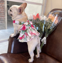 HKM-6294077 Ultra-thin Cotton Mesh Print Skirt for Cats and Dogs - Various Sizes Available