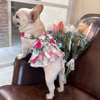 HKM-6294077 Ultra-thin Cotton Mesh Print Skirt for Cats and Dogs - Various Sizes Available