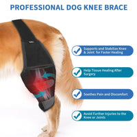 HKM-6299709 Dog Knee Pad Protective Gear for Surgical Injury - Neoprene Bandage and Collar Set