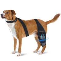 HKM-6299709 Dog Knee Pad Protective Gear for Surgical Injury - Neoprene Bandage and Collar Set