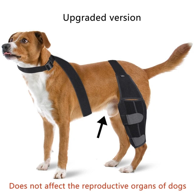 HKM-6299709 Dog Knee Pad Protective Gear for Surgical Injury - Neoprene Bandage and Collar Set