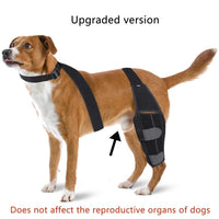 HKM-6299709 Dog Knee Pad Protective Gear for Surgical Injury - Neoprene Bandage and Collar Set
