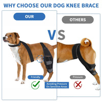 HKM-6299709 Dog Knee Pad Protective Gear for Surgical Injury - Neoprene Bandage and Collar Set