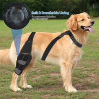 HKM-6299709 Dog Knee Pad Protective Gear for Surgical Injury - Neoprene Bandage and Collar Set