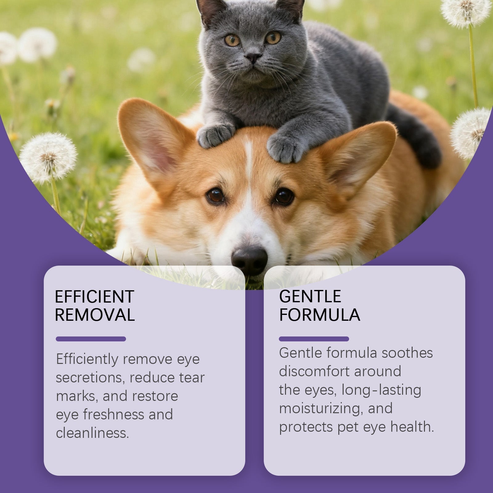 HKM-6300093 Gentle Eye Drops for Cats and Dogs ¨C Effectively Clean Tear Stains and Discharge, 30ml