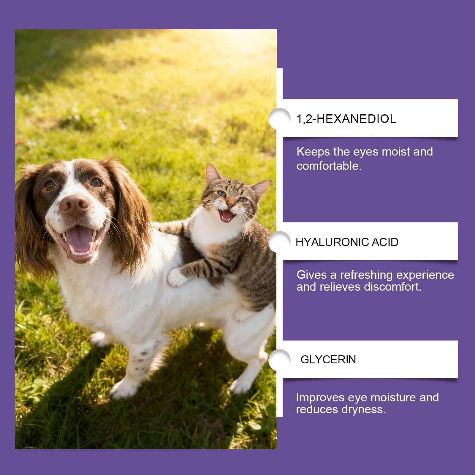 HKM-6300093 Gentle Eye Drops for Cats and Dogs ¨C Effectively Clean Tear Stains and Discharge, 30ml