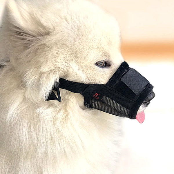 HKM-6301885 Adjustable Dog Bite-proof Mouthpiece Guard for Furniture Protection - Various Sizes Available
