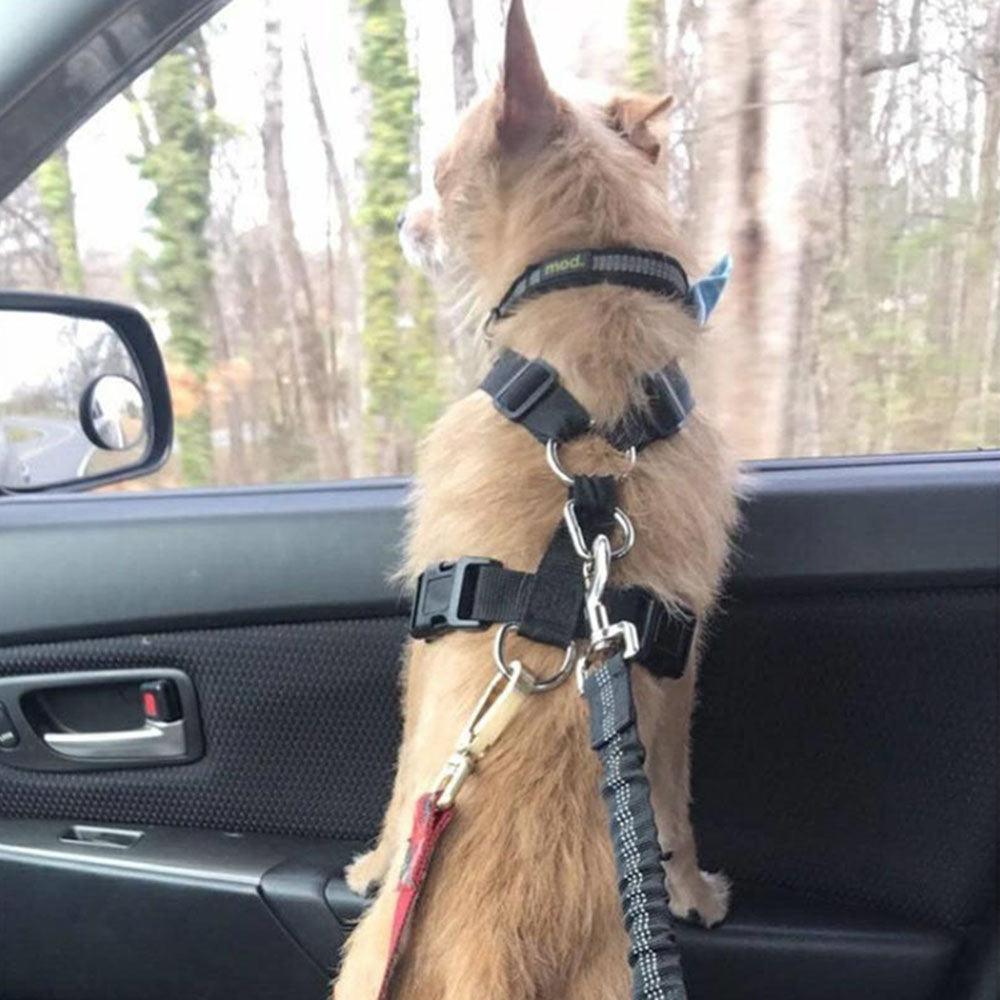 HKM-6302013 Adjustable Dog Seat Belt with Elastic Buffer and Reflective Safety Features