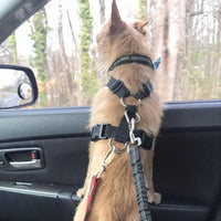 HKM-6302013 Adjustable Dog Seat Belt with Elastic Buffer and Reflective Safety Features