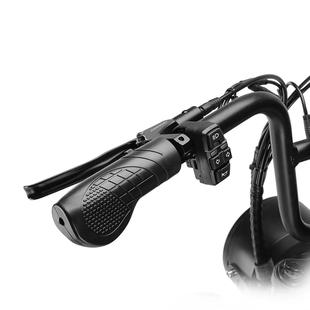 HKM-630227 Fat Tire Electric Off-Road Bike with 2000W Motor, 48V, Max Speed 60km/h, 20x4.0 Tires