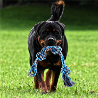 HKM-6303037 Stainless Steel Spring Pole with Cotton Rope for Active Dogs