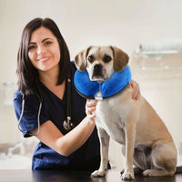 HKM-6304189 Inflatable Protective Collar for Dogs and Cats - Sizes S, M, L, XL in Cloth and PVC