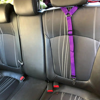 HKM-6305469 Adjustable Two-in-One Pet Safety Seat Belt Harness and Leash for Dogs and Cats