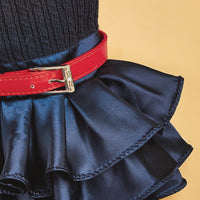 HKM-6305981 Cozy Woolen Skirt Sweater Set for Female Pets in Gray and Navy Blue