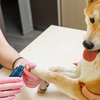 HKM-6311741 Rechargeable Dog & Cat Nail Grinder with 2 Speed Settings, Quiet Operation, and USB Charging