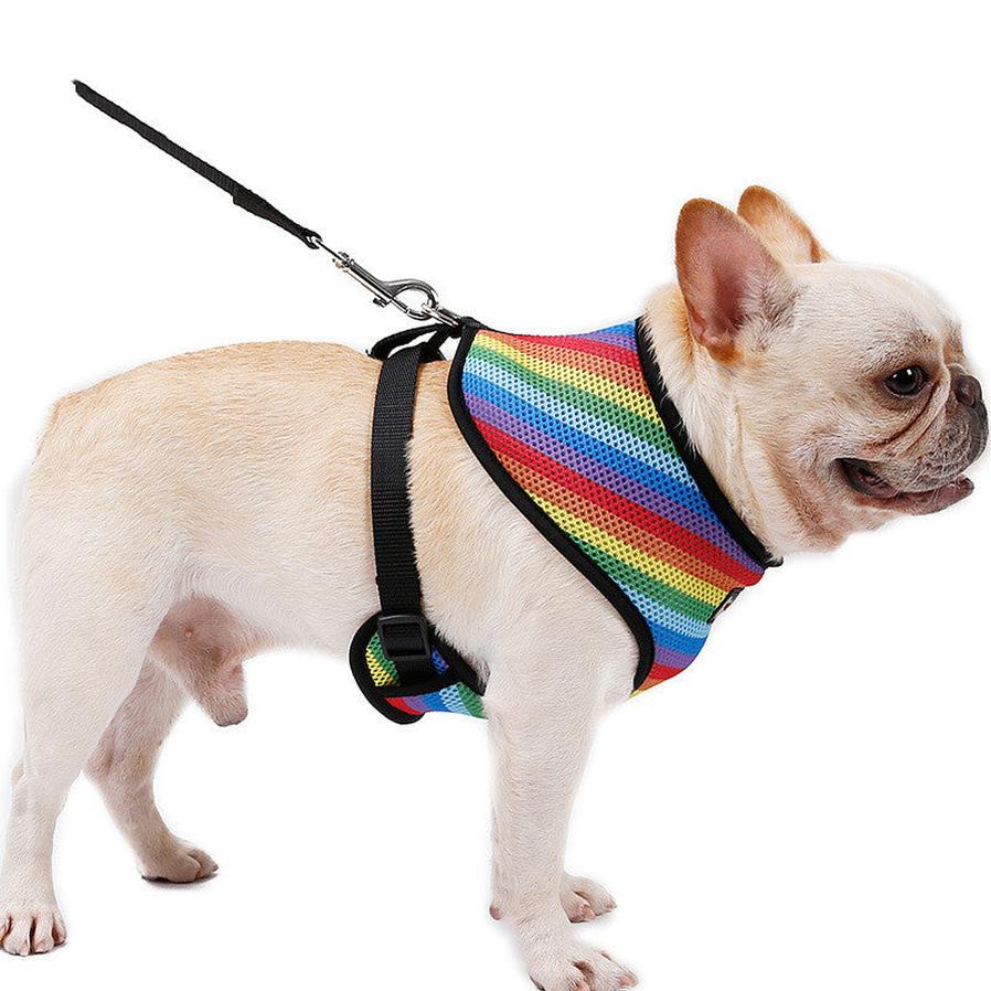 HKM-631315 Rainbow Striped Chest Strap in S, M, L Sizes - Comfortable Sandwich Mesh Design