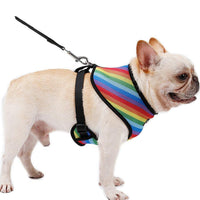 HKM-631315 Rainbow Striped Chest Strap in S, M, L Sizes - Comfortable Sandwich Mesh Design