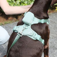 HKM-6313533 Mint Green Pet Collar and Vest Set with Haulage Rope and Mini Dog Bag for Special Occasions