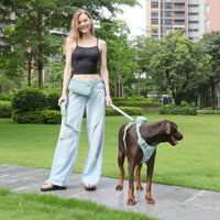 HKM-6313533 Mint Green Pet Collar and Vest Set with Haulage Rope and Mini Dog Bag for Special Occasions