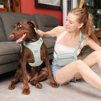 HKM-6313533 Mint Green Pet Collar and Vest Set with Haulage Rope and Mini Dog Bag for Special Occasions
