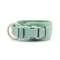 HKM-6313533 Mint Green Pet Collar and Vest Set with Haulage Rope and Mini Dog Bag for Special Occasions