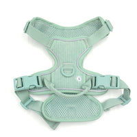 HKM-6313533 Mint Green Pet Collar and Vest Set with Haulage Rope and Mini Dog Bag for Special Occasions