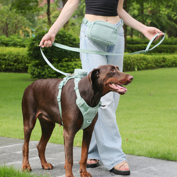 HKM-6313533 Mint Green Pet Collar and Vest Set with Haulage Rope and Mini Dog Bag for Special Occasions