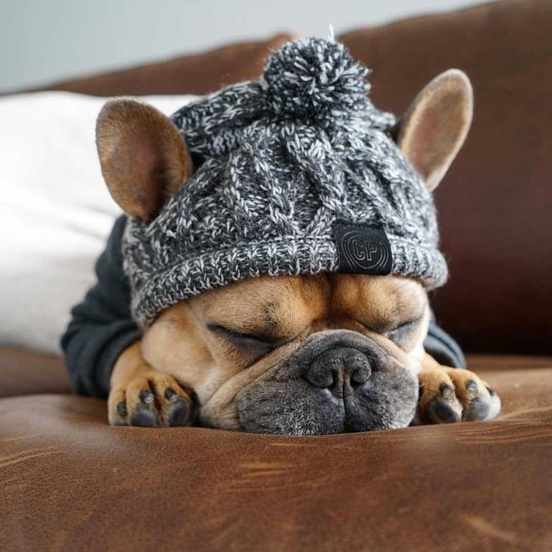 HKM-632595 Two-Tone Windproof Fluffy Knitted Dog Hat with Pompom and Tassels