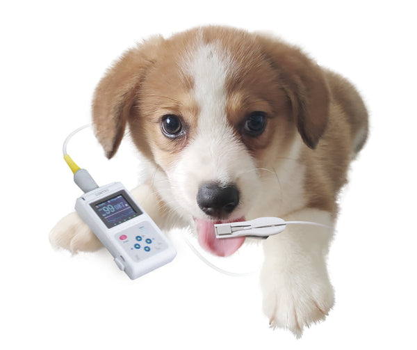 HKM-6330685 Veterinary Pulse Oximeter with Color Display and Spo2 Probe Monitor CMS60D-VET