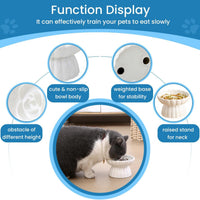 HKM-6331197 Elevated Ceramic Slow Feed Bowl for Cats and Small Dogs, Flower Pool Design with Raised Edges
