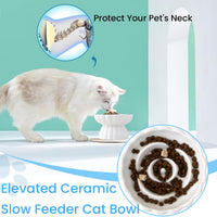HKM-6331197 Elevated Ceramic Slow Feed Bowl for Cats and Small Dogs, Flower Pool Design with Raised Edges