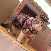 HKM-6333373 Detective Style Pet Cloak and Hat Set for Dogs and Cats in Khaki Plaid, Casual Fit