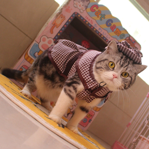 HKM-6333373 Detective Style Pet Cloak and Hat Set for Dogs and Cats in Khaki Plaid, Casual Fit